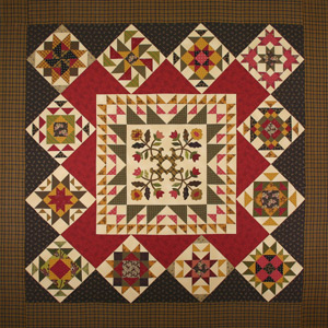 Ruth Ann's Sampler Quilt